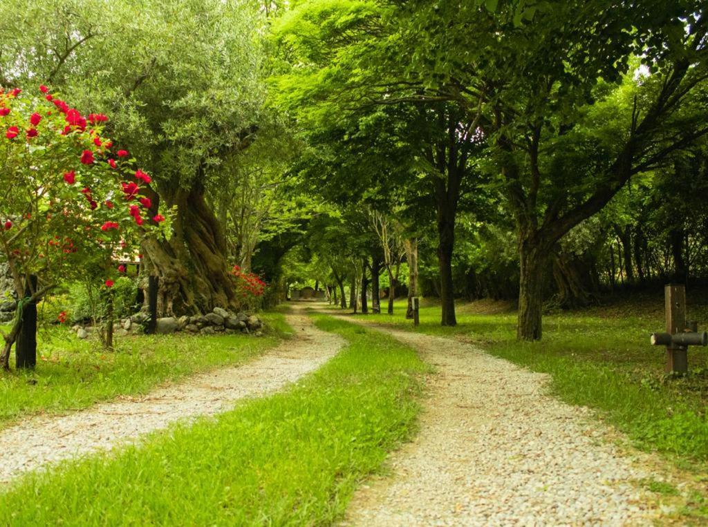 Agriturismo La Locanda Del Parco Βίλα Morano Calabro Εξωτερικό φωτογραφία