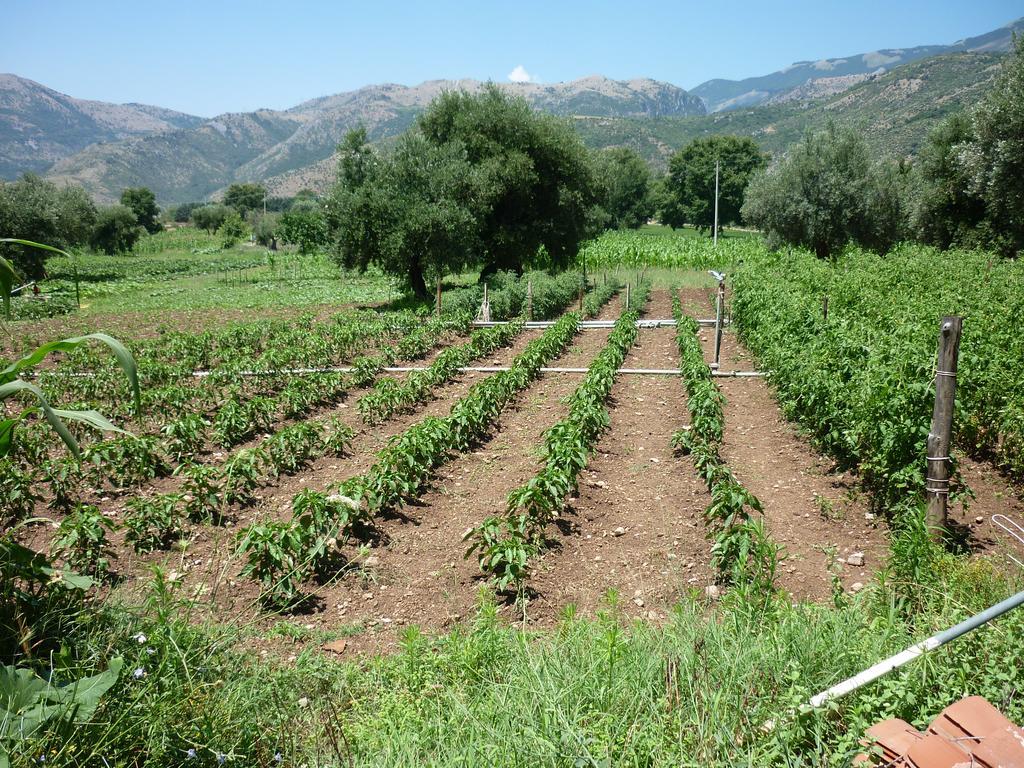 Agriturismo La Locanda Del Parco Βίλα Morano Calabro Εξωτερικό φωτογραφία