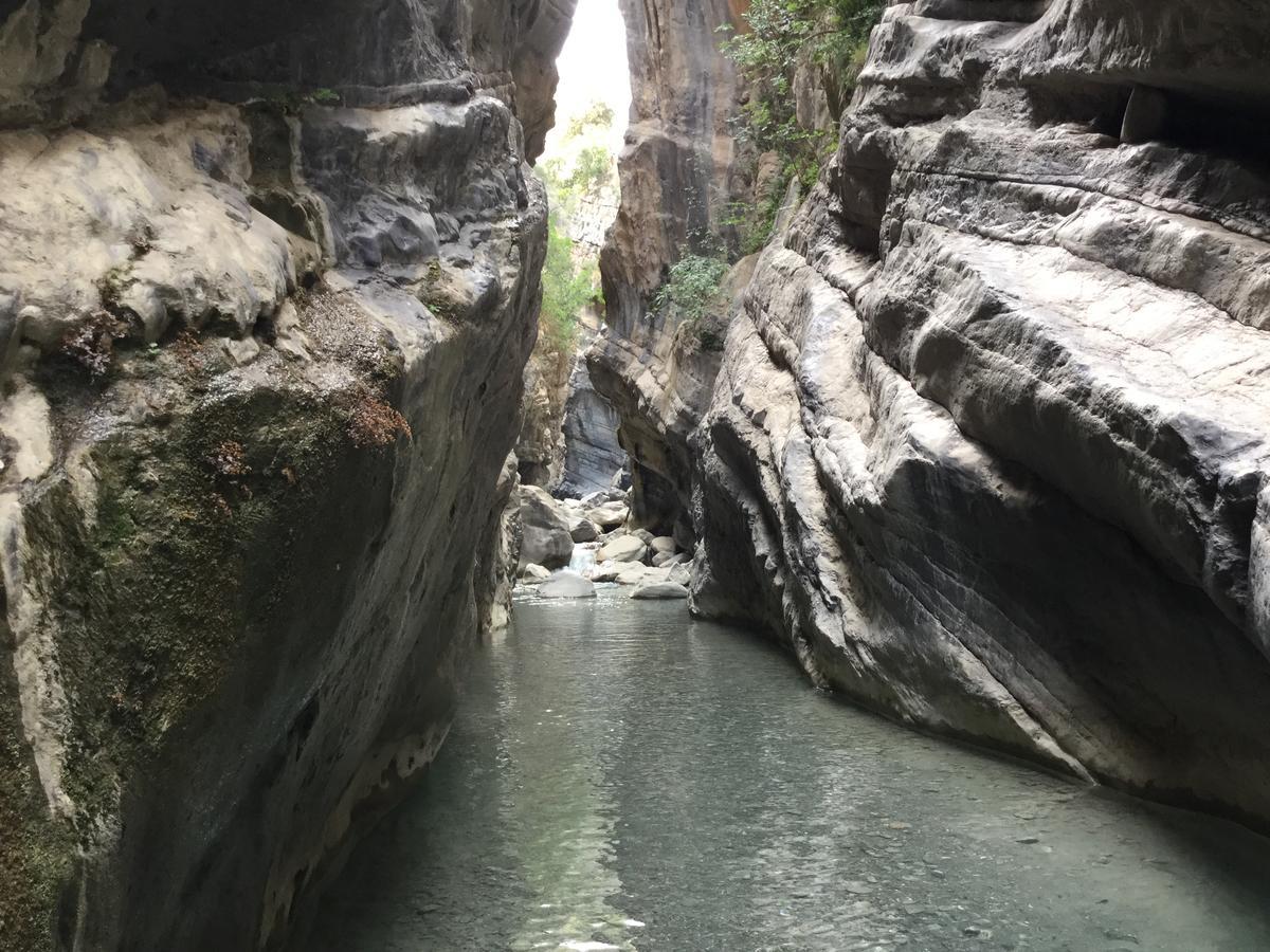 Agriturismo La Locanda Del Parco Βίλα Morano Calabro Εξωτερικό φωτογραφία